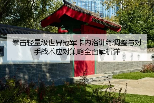 拳击轻量级世界冠军卡内洛训练调整与对手战术应对策略全面解析详