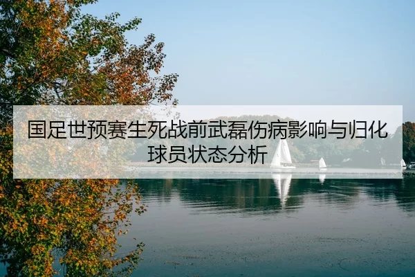 国足世预赛生死战前武磊伤病影响与归化球员状态分析