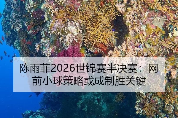 陈雨菲2026世锦赛半决赛：网前小球策略或成制胜关键